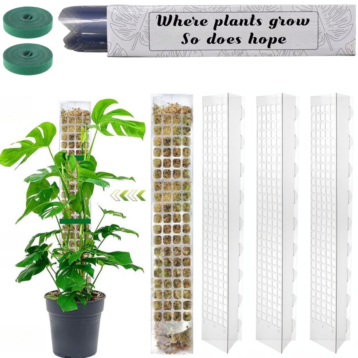 Plant Support Stake - Moss Pole Plastic Plant Stand Indoor