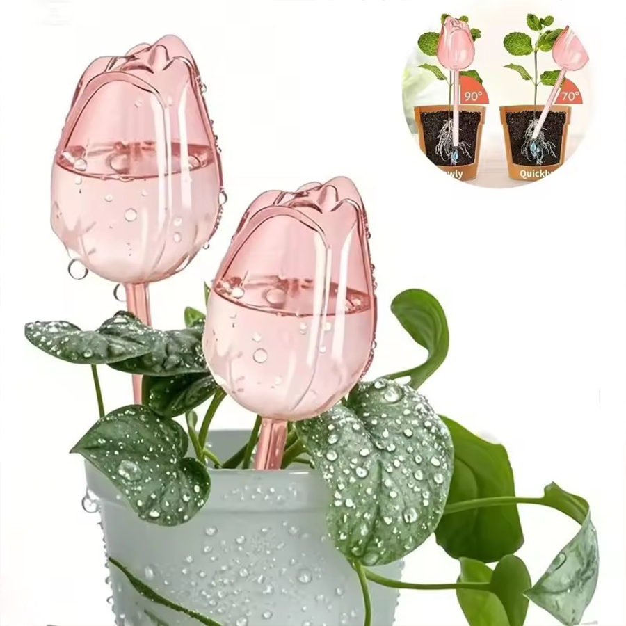 Pothos - Transparent Thick PET Tulip Shaped Self