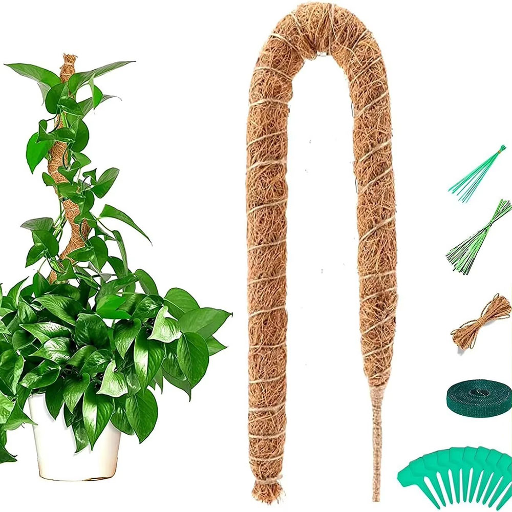 Pothos - Horticultural Coconut Palm Stick Green Luo