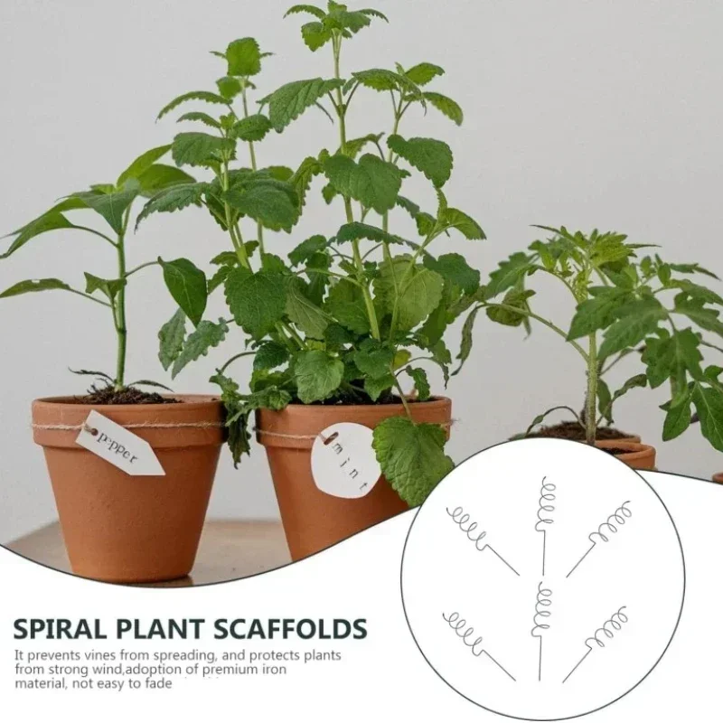 Climbing Plant Support Stake S - đánh giá và giá Plant Support Stake