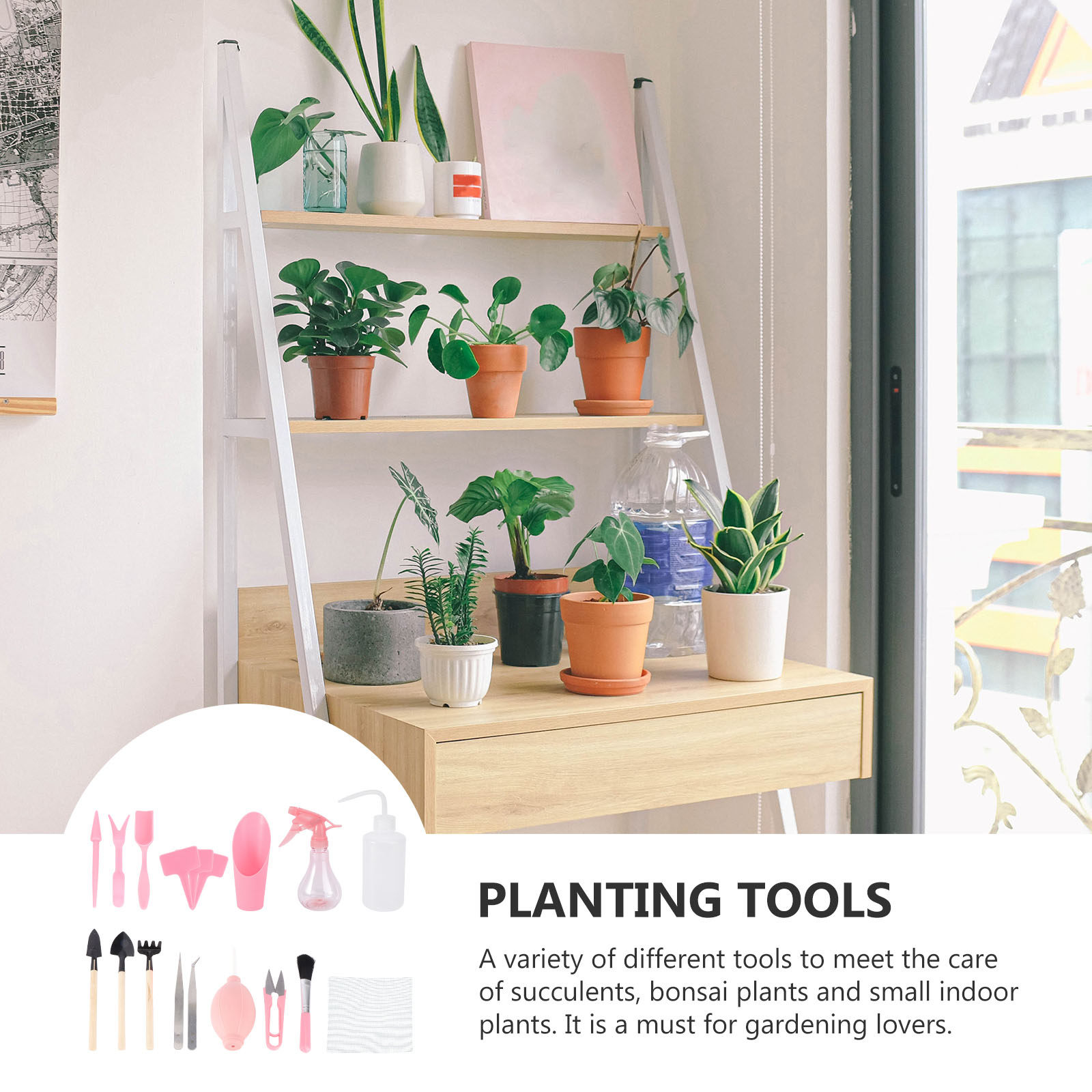 1Set Mini Succulent Planting T - đánh giá và giá Succulent Set