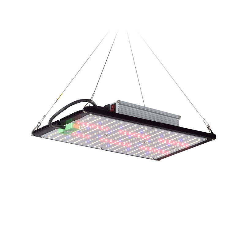 LED Quantum‑Board Grow Light F - đánh giá và giá Indoor Plants