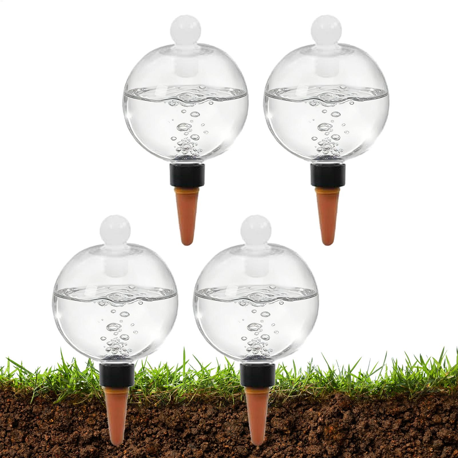 Plant Watering Bulbs 4pcs 500m - đánh giá và giá Succulent Set