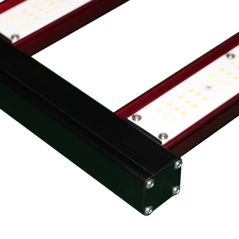 450w 600w 800w 1000Watt Indoor - đánh giá và giá Indoor Plants