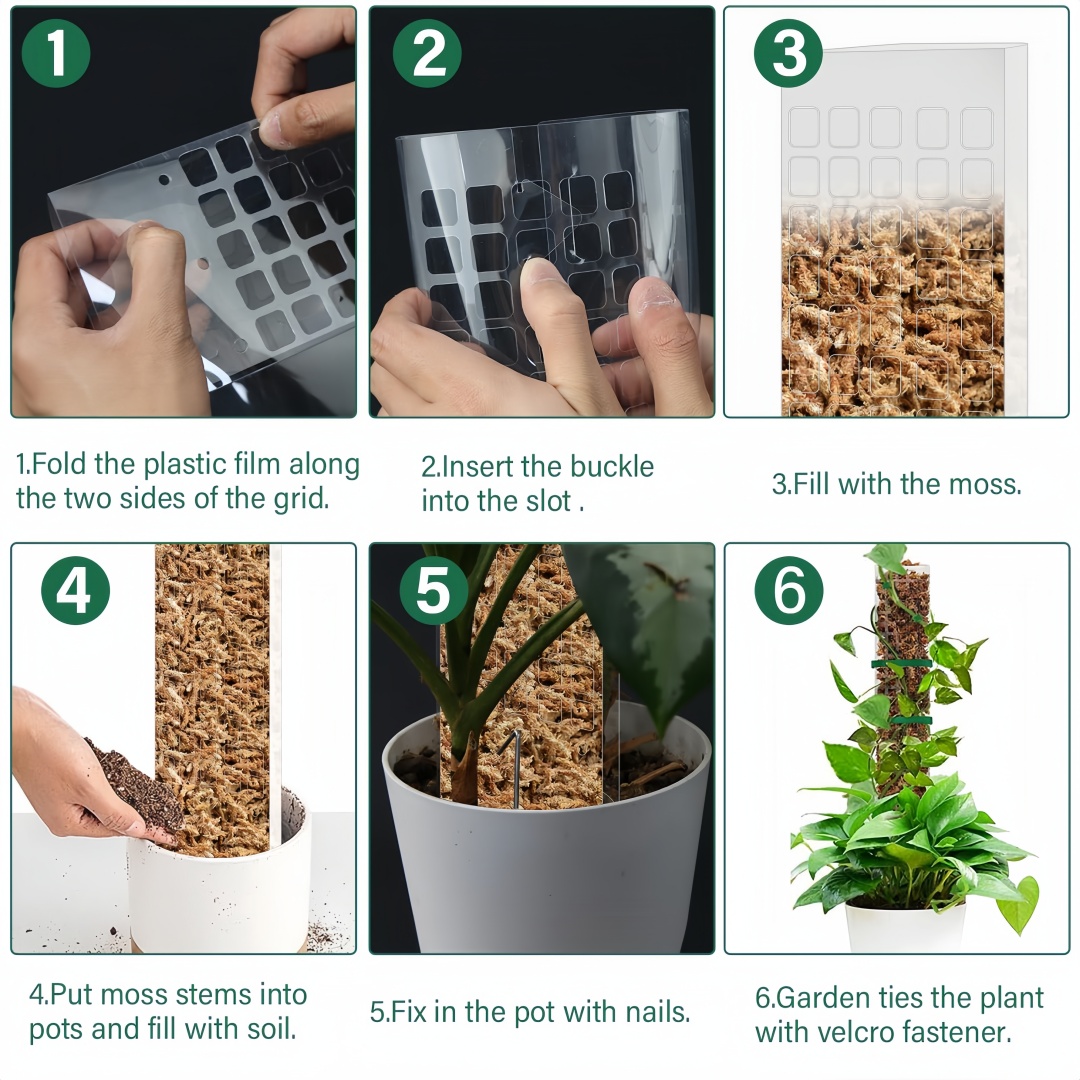 Moss Pole Plastic Plant Stand  - đánh giá và giá Plant Support Stake