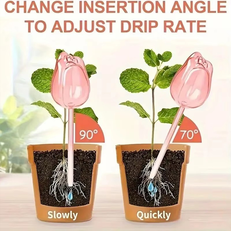 Transparent Thick PET Tulip Sh - đánh giá và giá Pothos