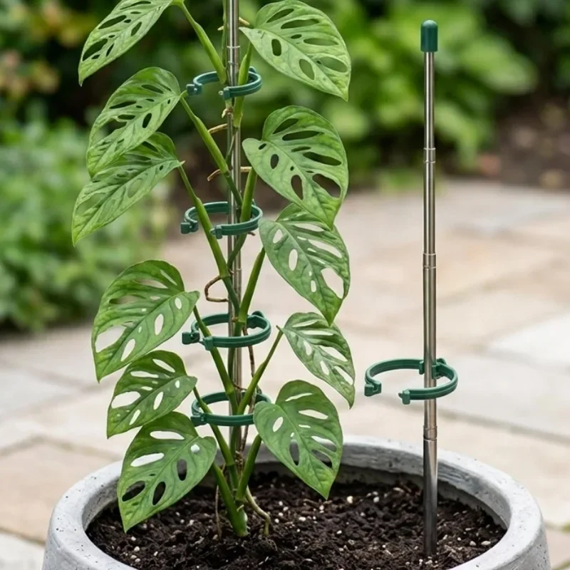 5/1PCS Retractable Plant Suppo - đánh giá và giá Plant Support Stake