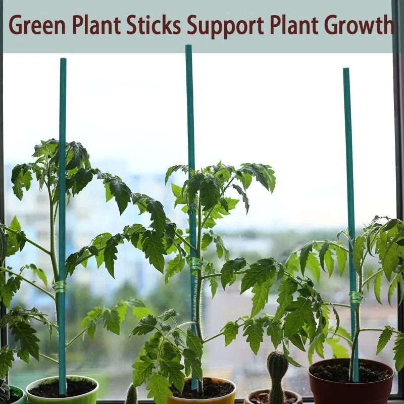 Plant Support Sticks Canes Bam - đánh giá và giá Plant Support Stake