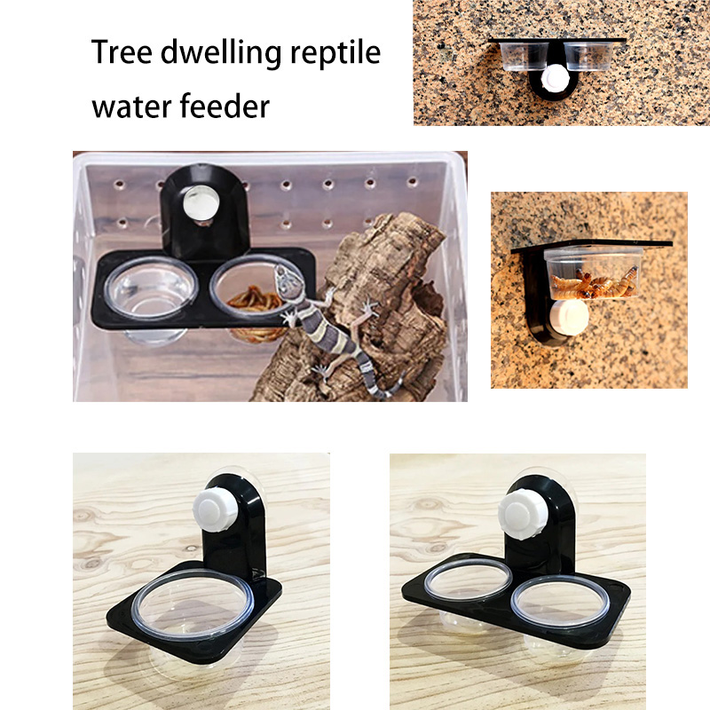 Reptile Tank Accessories Insec - đánh giá và giá Snake Plant