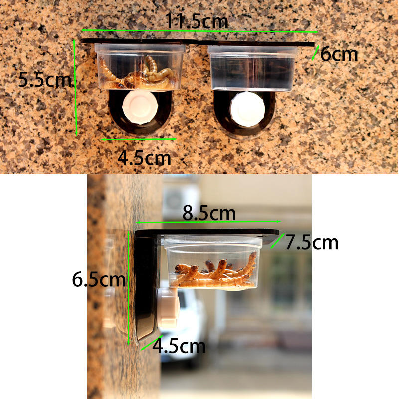 Reptile Tank Accessories Insec - đánh giá và giá Snake Plant