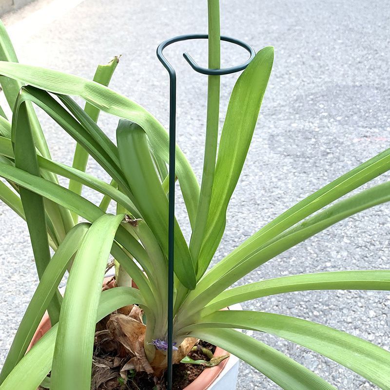 1-10pcs Metal Single Stem Plan - đánh giá và giá Plant Support Stake