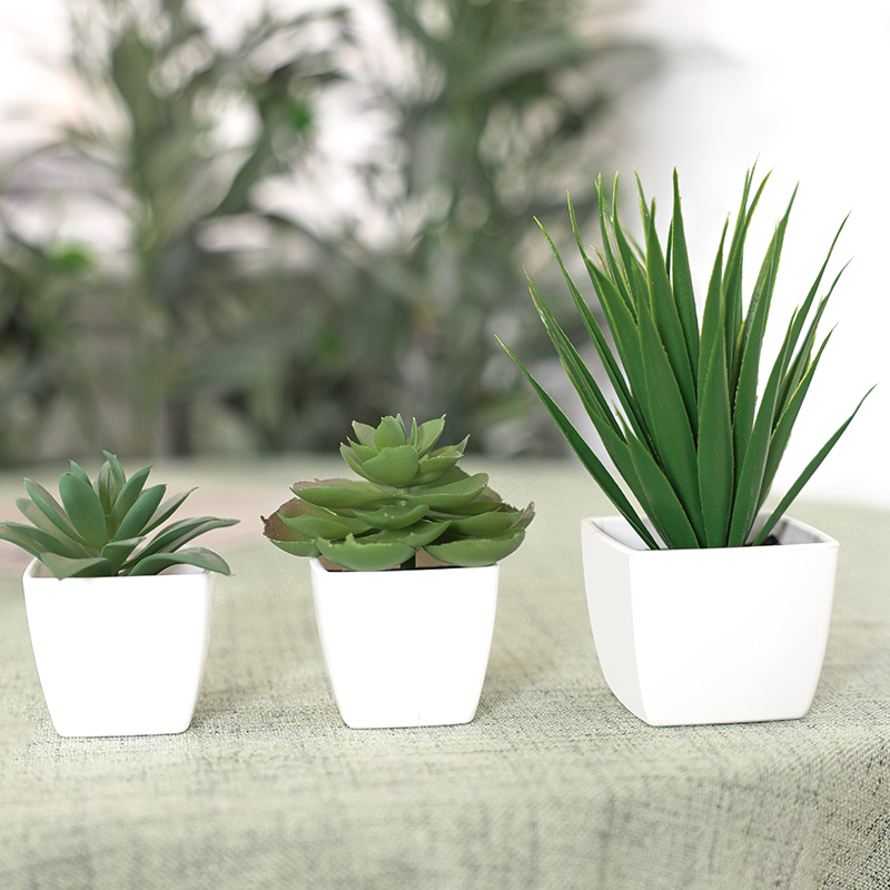 3PCS Artificial Evergreen Plan - đánh giá và giá Succulent Set