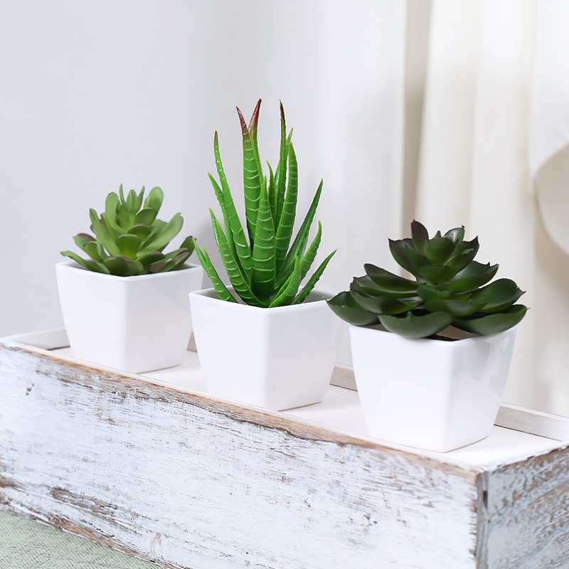 3PCS Artificial Evergreen Plan - đánh giá và giá Succulent Set