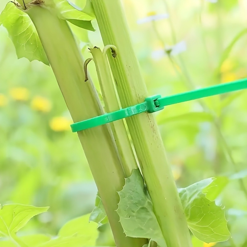 100pcs Garden Cable Tie, Plant - đánh giá và giá Plant Pot