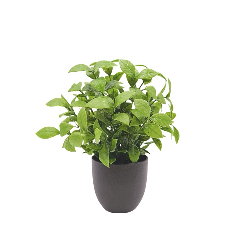 Simulation Green Plant Bonsai  - đánh giá và giá Succulent Set