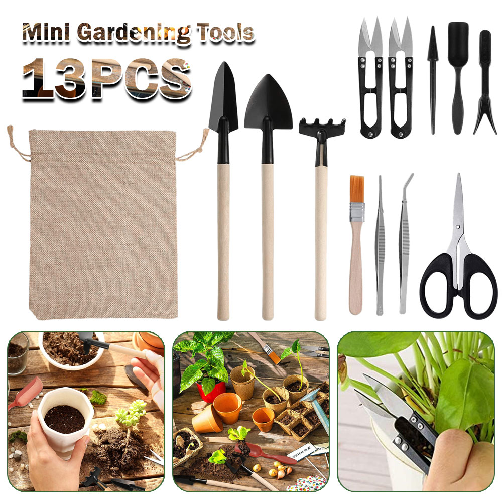 Succulent Plants Tools Mini Ga - đánh giá và giá Succulent Set