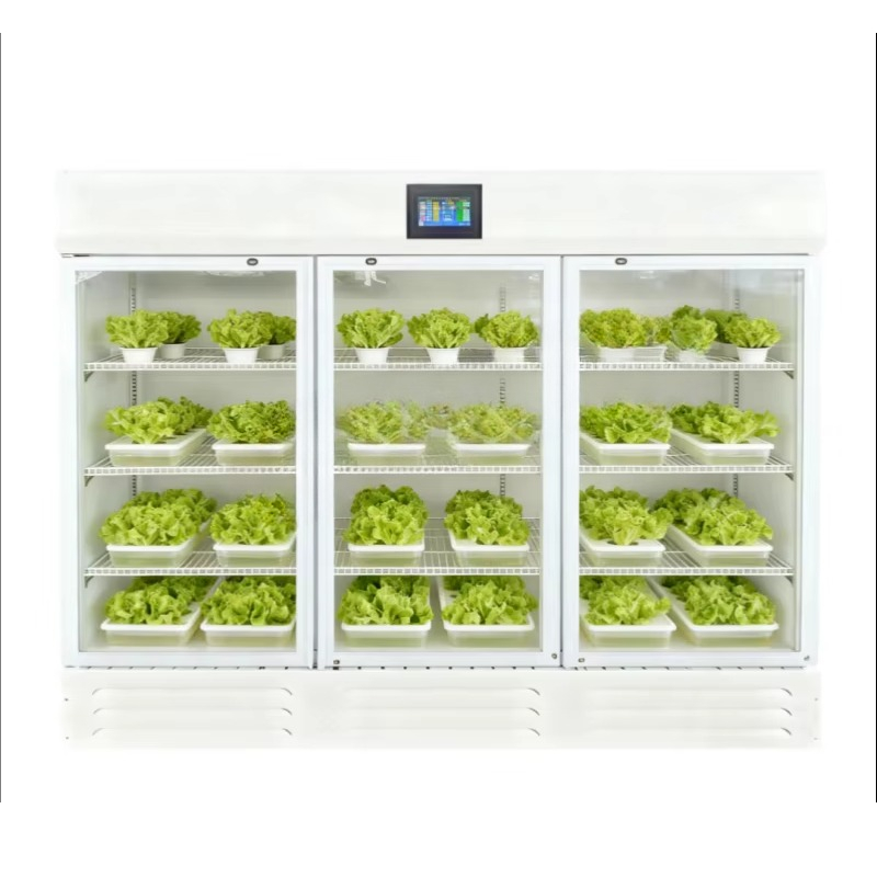 HEZHOU HZ-3 Indoor Hydroponic  - đánh giá và giá Indoor Plants