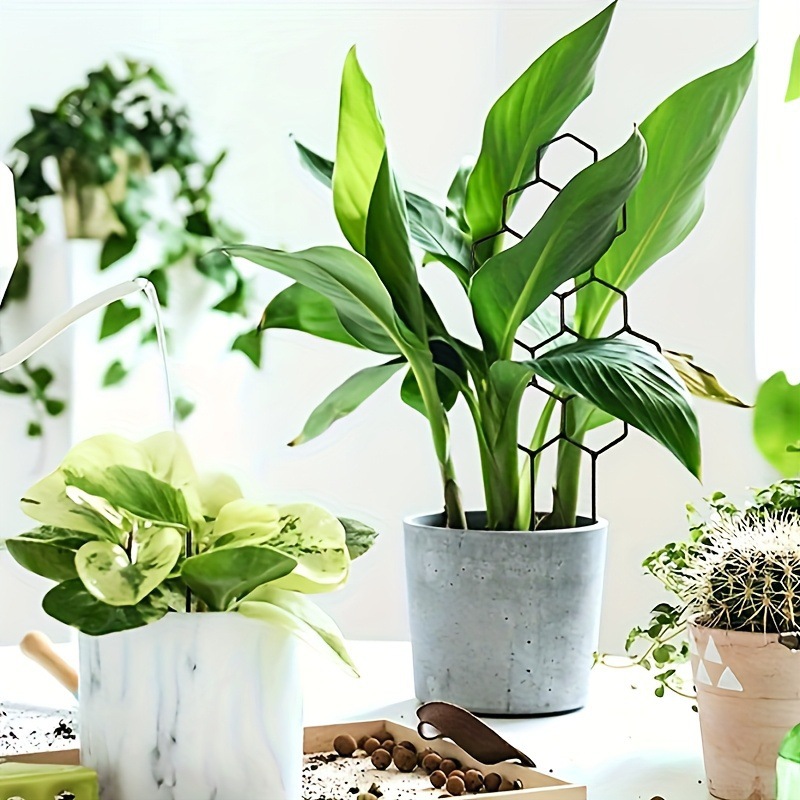 1PC Honeycomb Design Plant Tre - đánh giá và giá Terracotta Pot